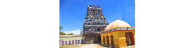 நாகை நீலதயாட்சி - தமிழ்நாடு
